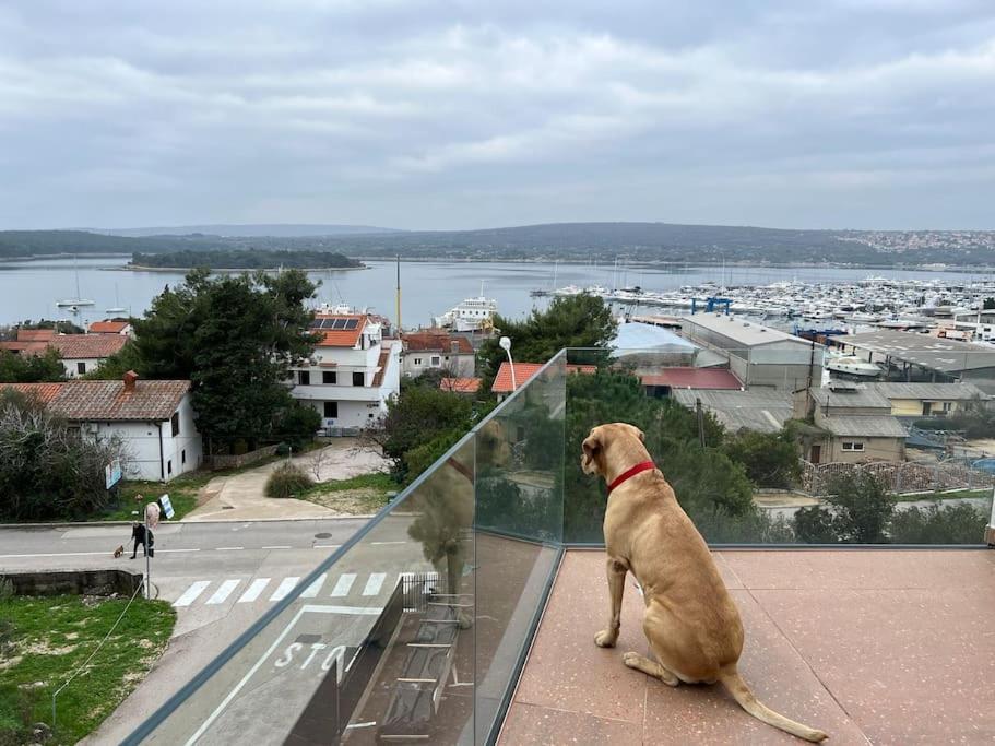 Panorama Penthouse Punat Eksteriør bilde